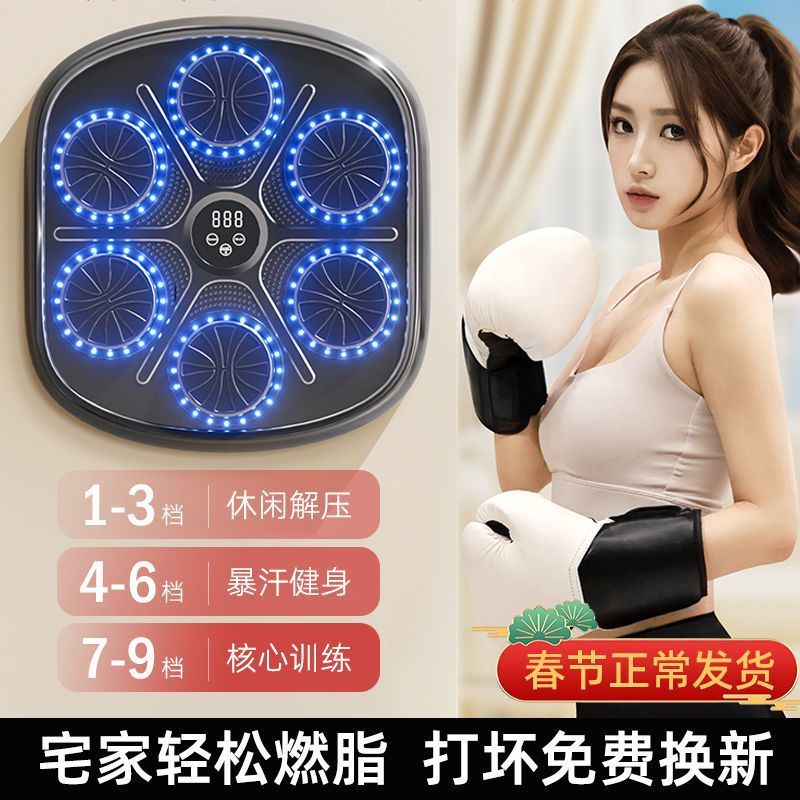 Smart Music Boxing Target - Indoor Sparring & Training for All Ages