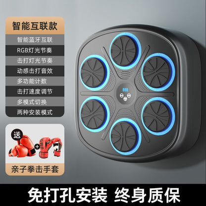 Smart Music Boxing Target - Indoor Sparring & Training for All Ages